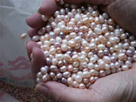 are the pearls at pearl factory real